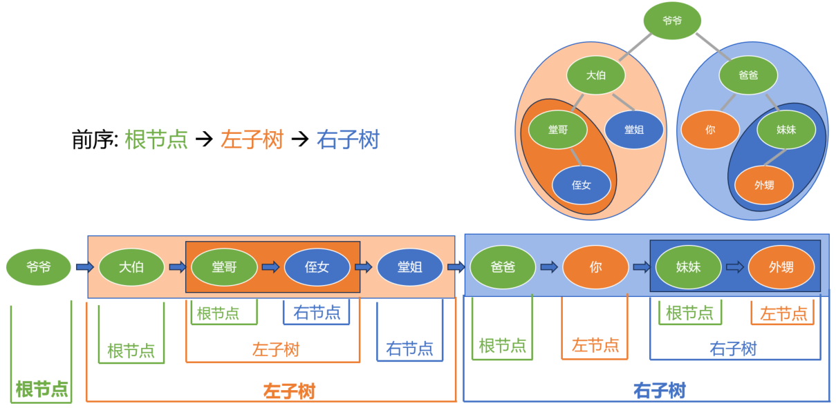 二叉树前序遍历-左右子树的全部展开